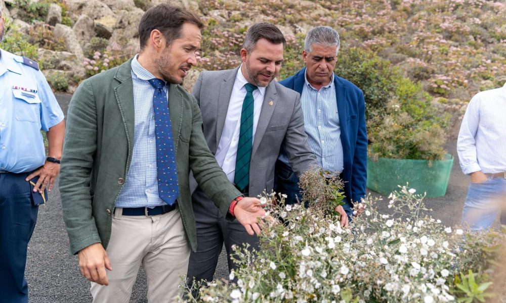 Transición impulsa huertos de semillas canarias en Lanzarote Transición impulsa huertos de semillas canarias en Lanzarote Transición impulsa huertos de semillas canarias en Lanzarote