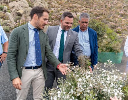 Transición impulsa huertos de semillas canarias en Lanzarote Transición impulsa huertos de semillas canarias en Lanzarote Transición impulsa huertos de semillas canarias en Lanzarote