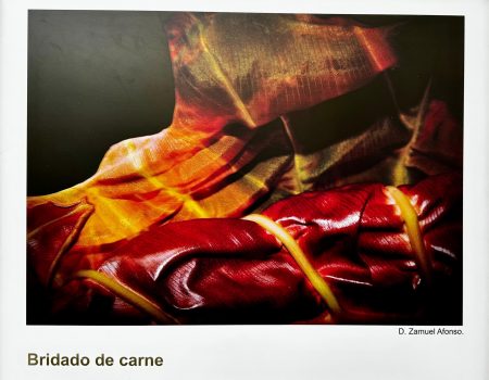 Concurso fotográfico del Jardín Botánico de Puerto de la Cruz
