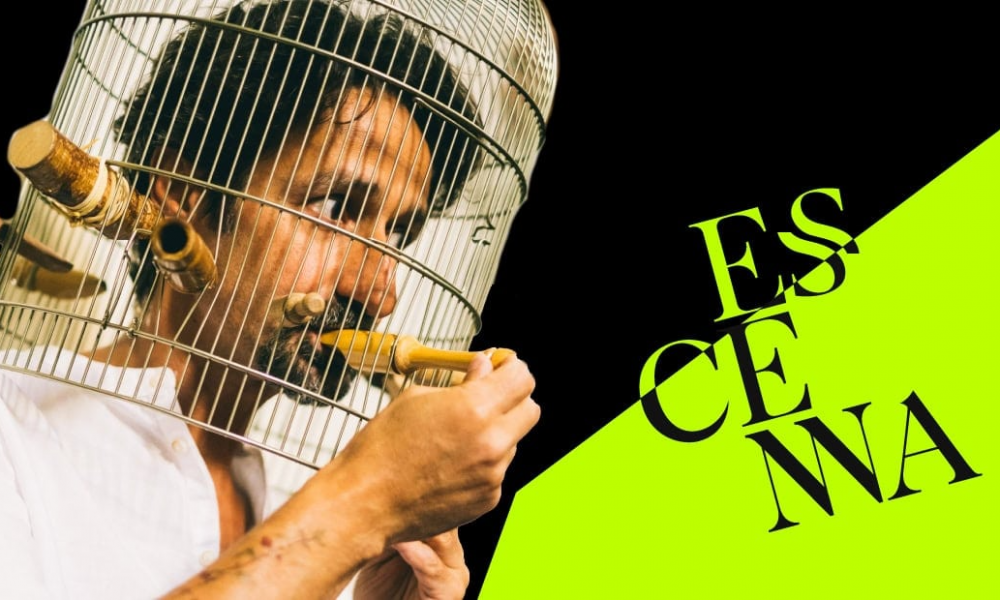 Concierto para un Árbol de Fernando Mota