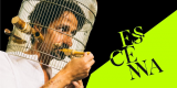 Concierto para un Árbol de Fernando Mota