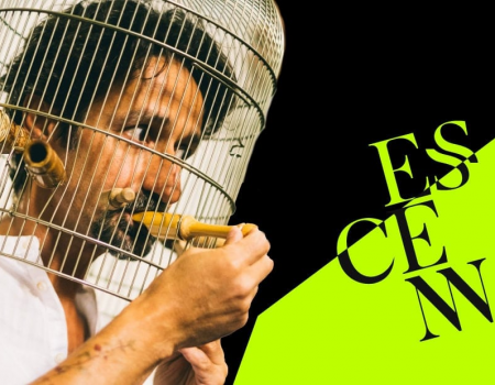 Concierto para un Árbol de Fernando Mota