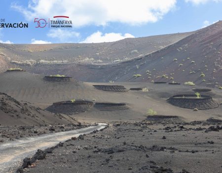 El Parque Nacional de Timanfaya estrena nueva web