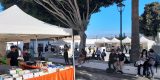 La Fiera del Libro en San Bartolomé