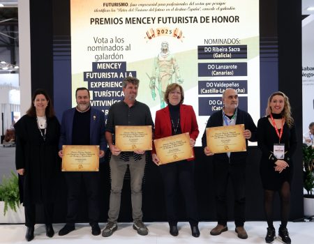 Premios de Turismo Mencey Futurista de Honor 2025