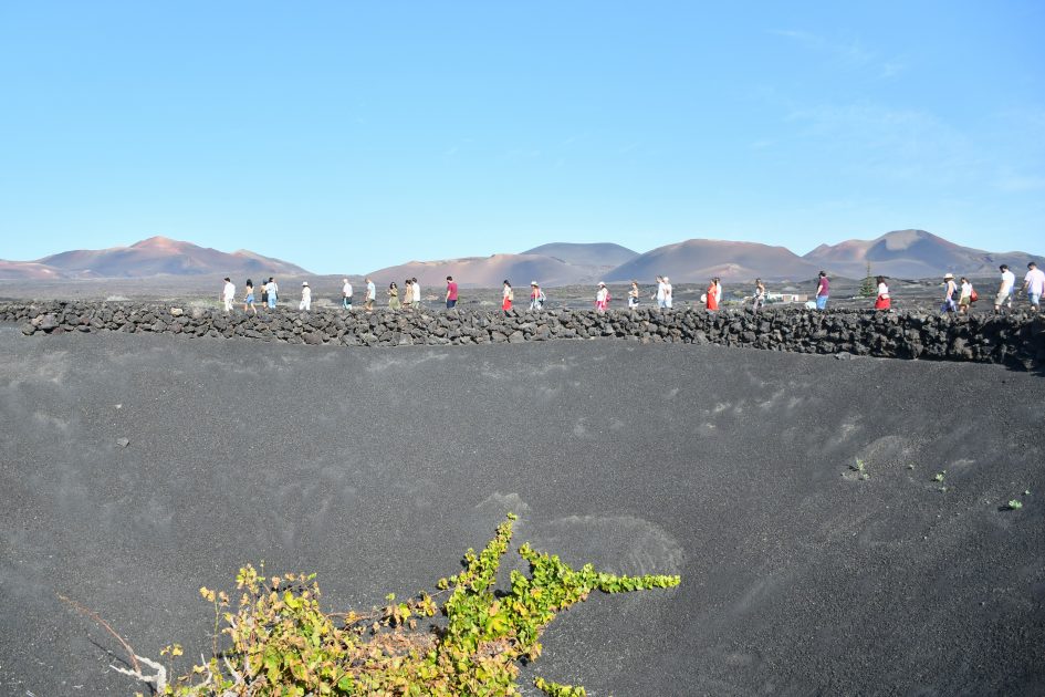El Consejo Regulador de la DO Vinos de Lanzarote enriquece la experiencia vitivinícola con innovadoras propuestas para 2025