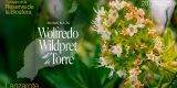 Homenaje al botánico Wolfredo Wildpret