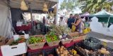El Mercadillo Agrícola de Arrecife se traslada junto a la iglesia