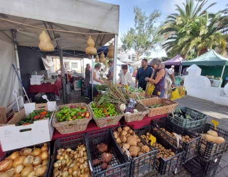 El Mercadillo Agrícola de Arrecife se traslada junto a la iglesia