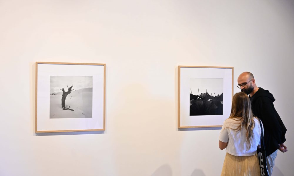 La Bienal de Arte de Lanzarote inaugura dos exposiciones
