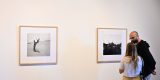La Bienal de Arte de Lanzarote inaugura dos exposiciones