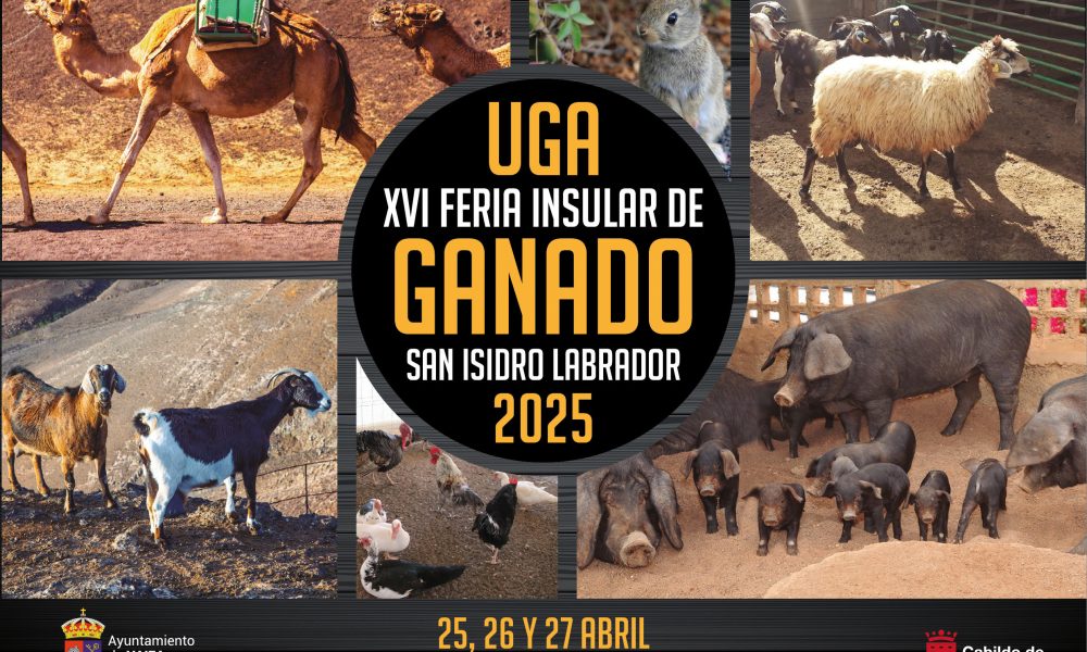 Feria Insular de Ganado San Isidro Labrador de Uga