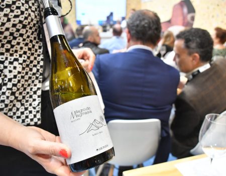 Los Vinos de Lanzarote se alzan con ocho medallas en los Premios CINVE 2025