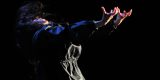 Suelo y Aire 2025: Danza Contemporánea en Lanzarote Suelo y Aire 2025: Danza Contemporánea en Lanzarote