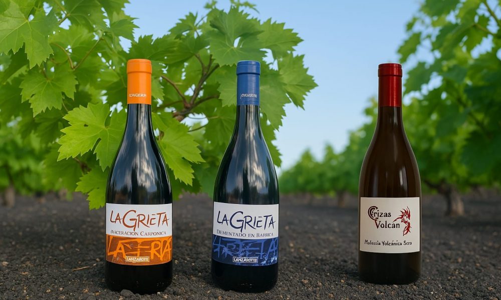 Vinos La Grieta conquista CINVE 2025 con ´triplete de oro´