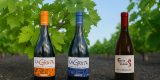 Vinos La Grieta conquista CINVE 2025 con ´triplete de oro´