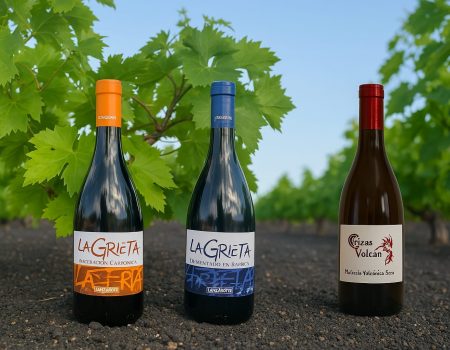 Vinos La Grieta conquista CINVE 2025 con ´triplete de oro´