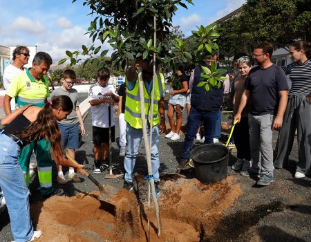 Plantación de tarajales y ficus en el IES Tías