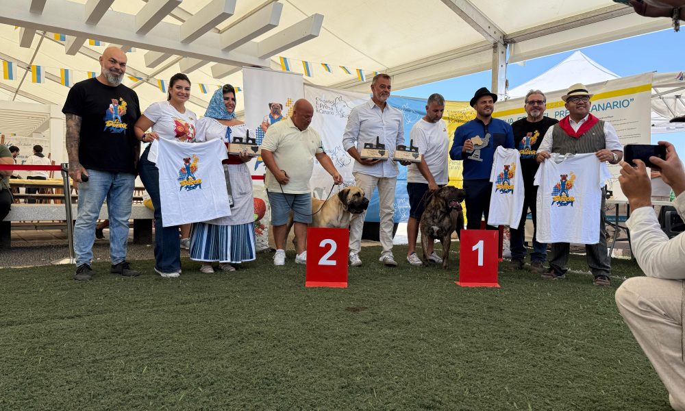 Concurso Monográfico del Presa Canario en Arrecife
