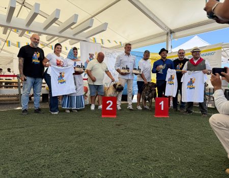Concurso Monográfico del Presa Canario en Arrecife