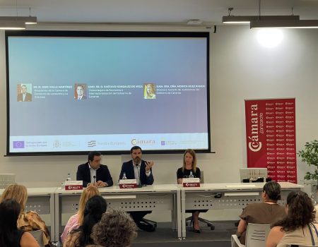 Subvención Cuota Cero del Gobierno de Canarias, dirigida a nuevos autónomos. Cámara de Comercio de Lanzarote y La Graciosa