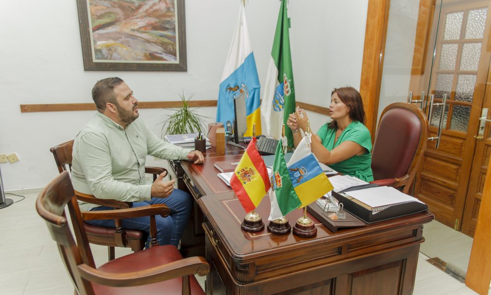 dirigidas a entidades deportivas, culturales, medioambientales y de acción social,