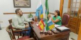 dirigidas a entidades deportivas, culturales, medioambientales y de acción social,