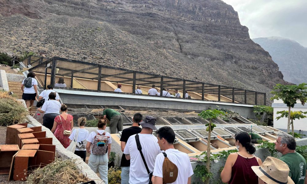 La Gomera acoge la jornada inclusiva “Somos Gigantes”
