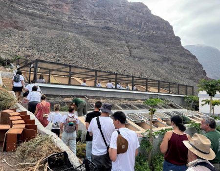 La Gomera acoge la jornada inclusiva “Somos Gigantes”
