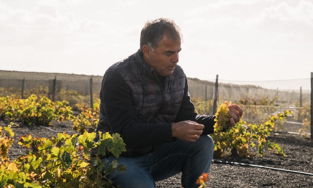 Bodegas El Grifo, Premio Turismo a la Excelencia Turística 2025
