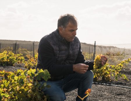 Bodegas El Grifo, Premio Turismo a la Excelencia Turística 2025