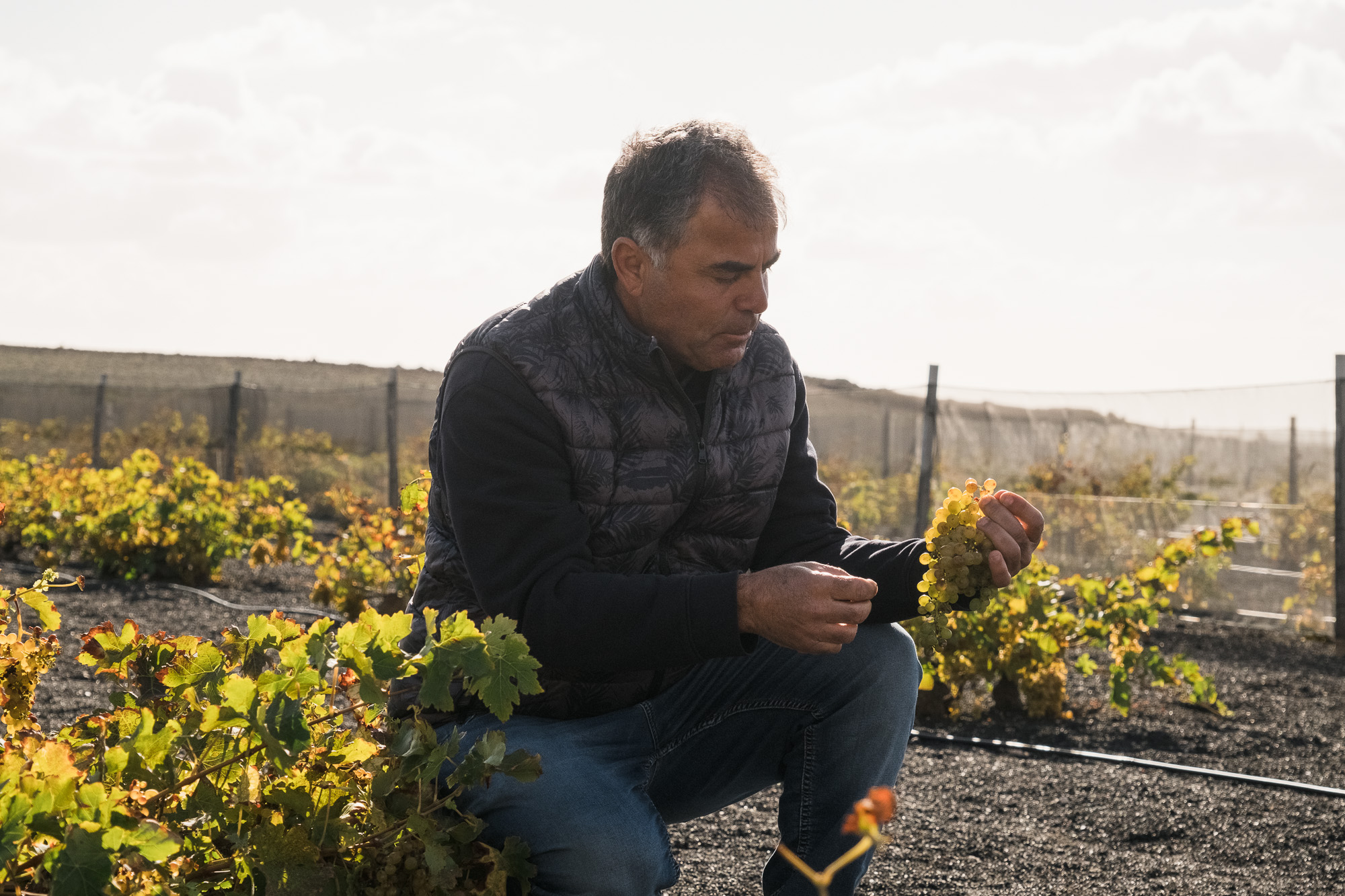 Bodegas El Grifo, Premio Turismo a la Excelencia Turística 2025