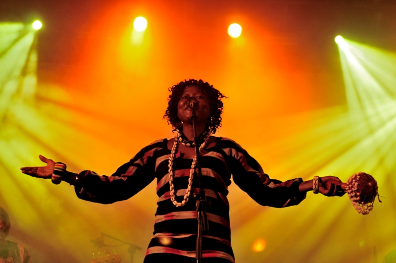 World Music Fest 2025