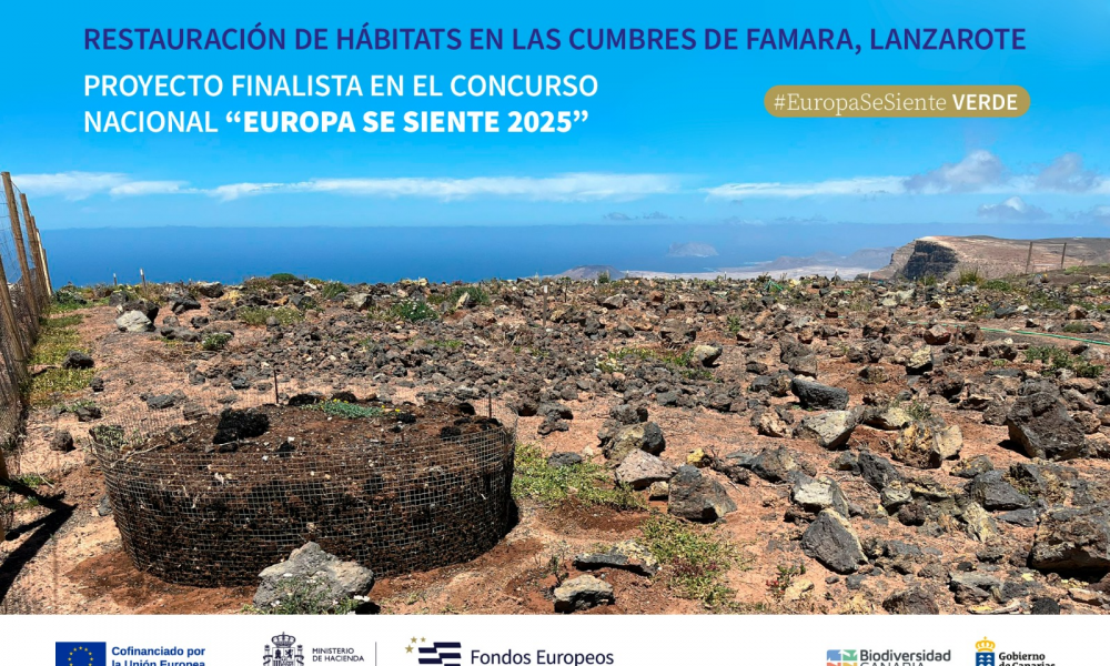 El proyecto de restauración de las Cumbres de Famara, finalista en el concurso nacional "Europa se Siente"