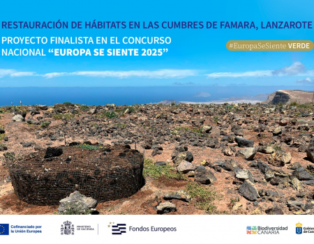 El proyecto de restauración de las Cumbres de Famara, finalista en el concurso nacional "Europa se Siente"