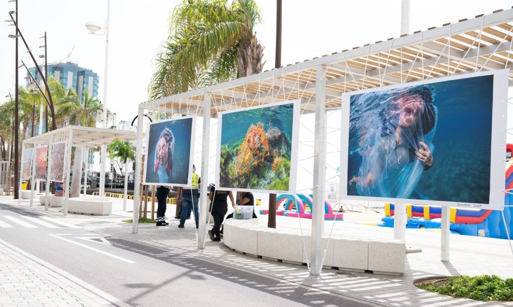 Exposición Gritos del Azul en El Reducto