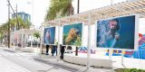 Exposición Gritos del Azul en El Reducto