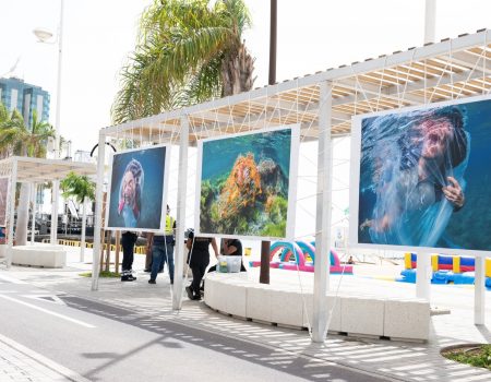 Exposición Gritos del Azul en El Reducto