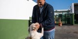Día Mundial de los Animales en el Centro de Protección Animal de Arrecife