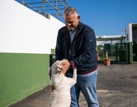 Día Mundial de los Animales en el Centro de Protección Animal de Arrecife