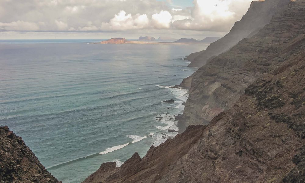 La Fundación César Manrique presenta “Los bosques termófilos. Canarias, Madeira y Cabo Verde”