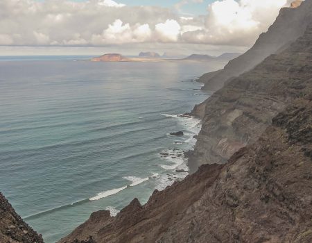 La Fundación César Manrique presenta “Los bosques termófilos. Canarias, Madeira y Cabo Verde”