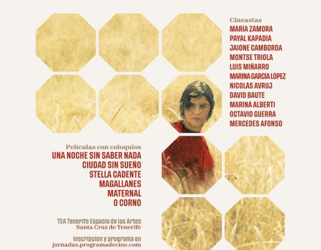 Jornadas ProCine del IFIC en Santa Cruz de Tenerife