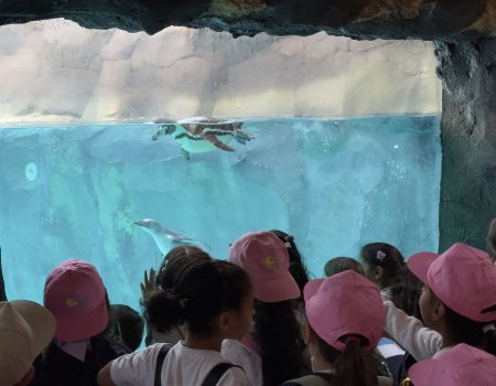 Rancho Texas Park impulsa en Lanzarote el proyecto europeo “Escuelas Azules”