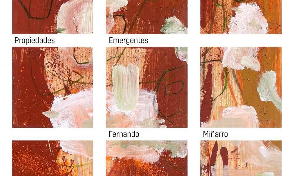Exposición “Propiedades Emergentes” de Fernando Miñarro Mena