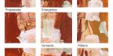 Exposición “Propiedades Emergentes” de Fernando Miñarro Mena