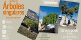 Hablemos de la Biosfera, árboles singulares de Lanzarote