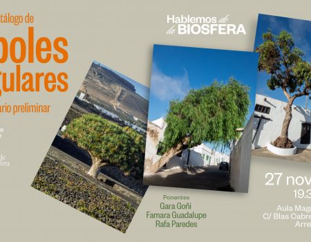 Hablemos de la Biosfera, árboles singulares de Lanzarote