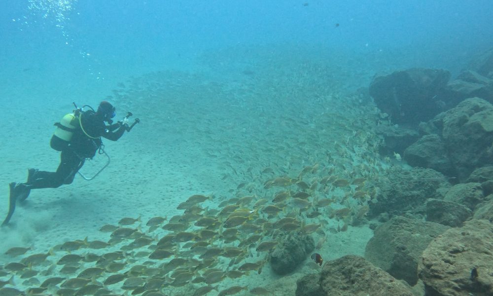 Reservas de la Biosfera marinas de Gran Canaria, Fuerteventura y Lanzarote–La Graciosa