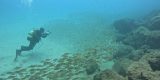 Reservas de la Biosfera marinas de Gran Canaria, Fuerteventura y Lanzarote–La Graciosa